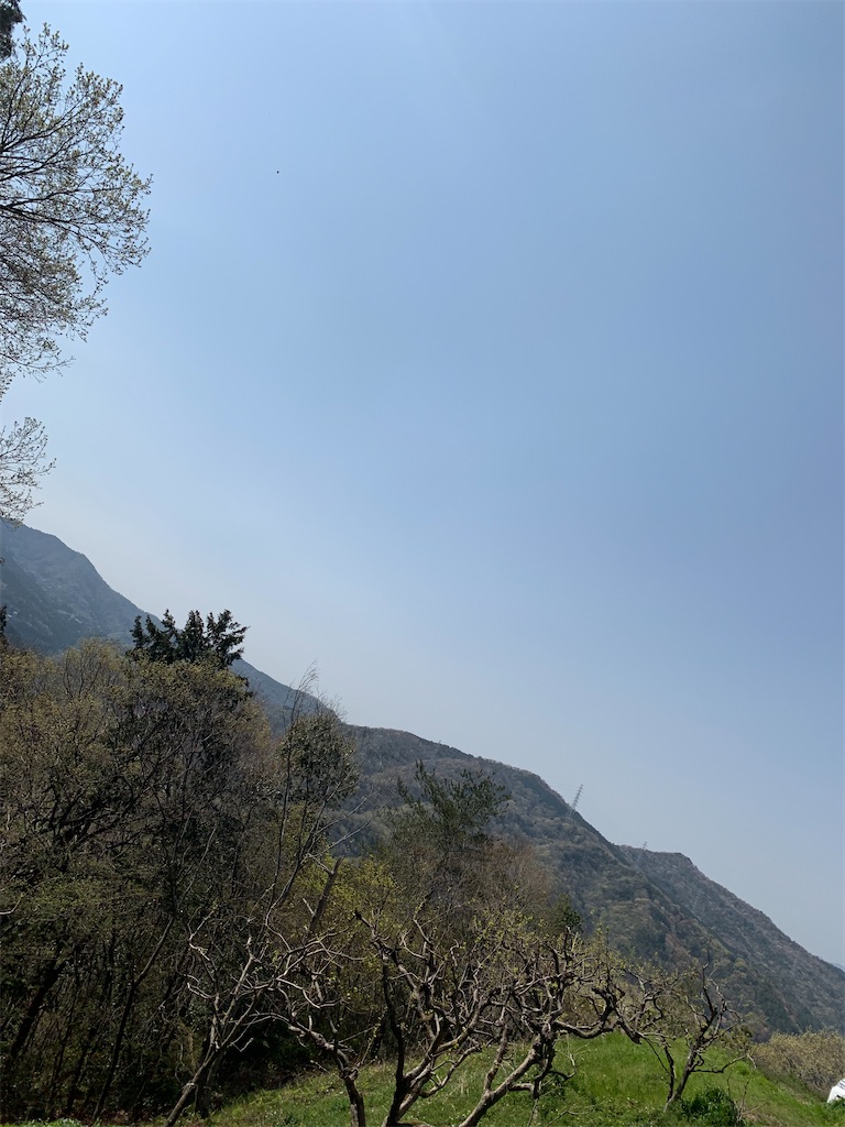 f:id:keikostyle:20210515221431j:image