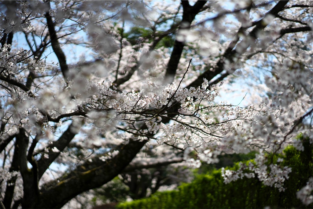 f:id:keikostyle:20210515221454j:image