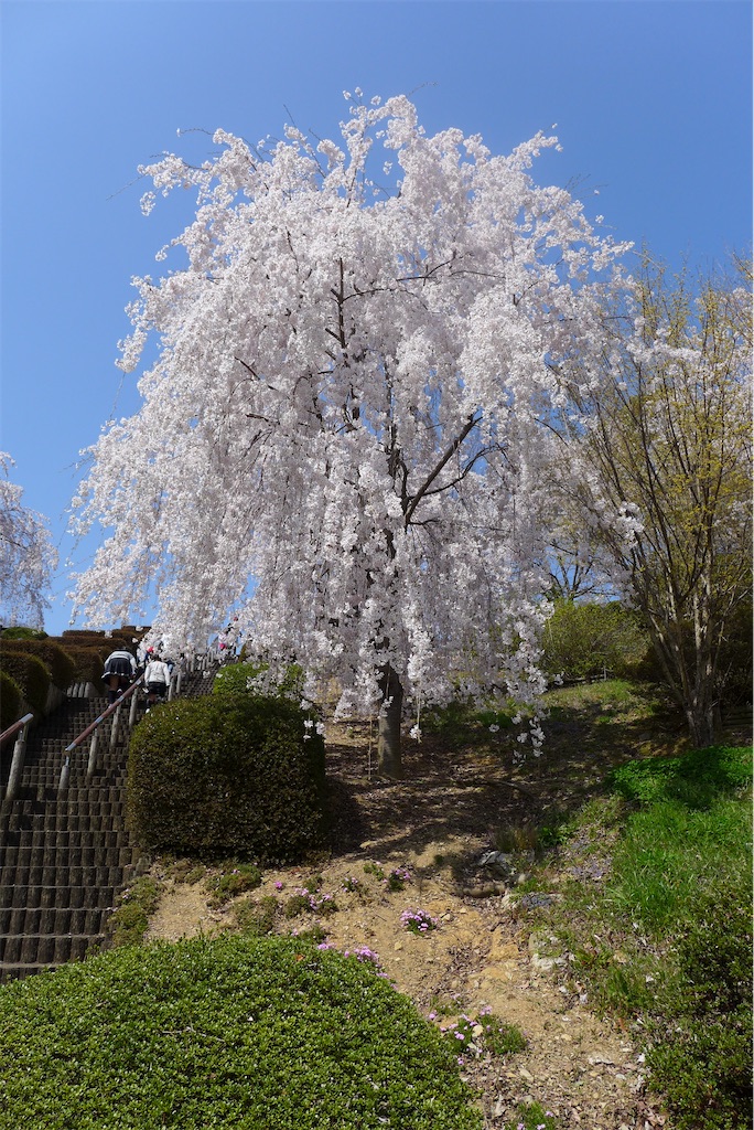 f:id:keikostyle:20210515221502j:image