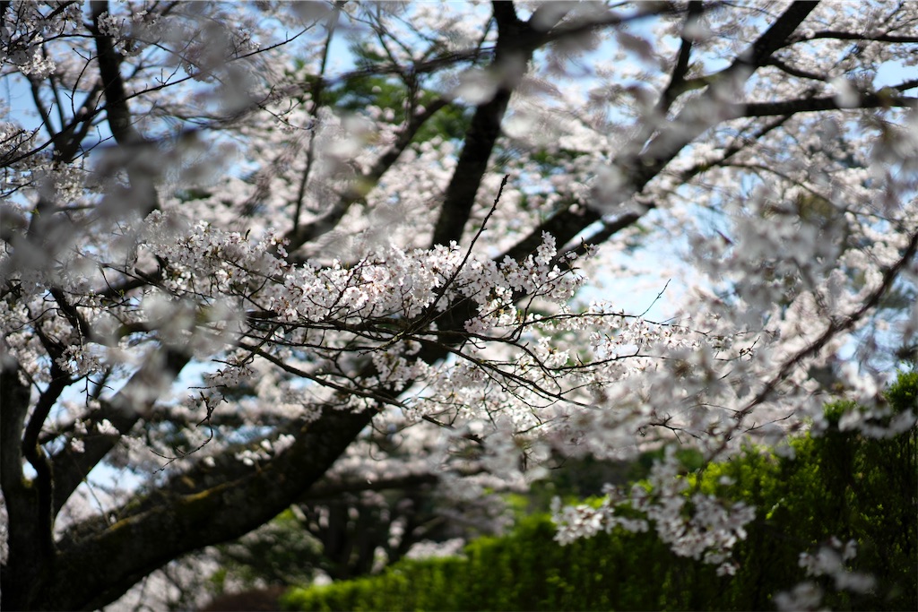 f:id:keikostyle:20210515221509j:image