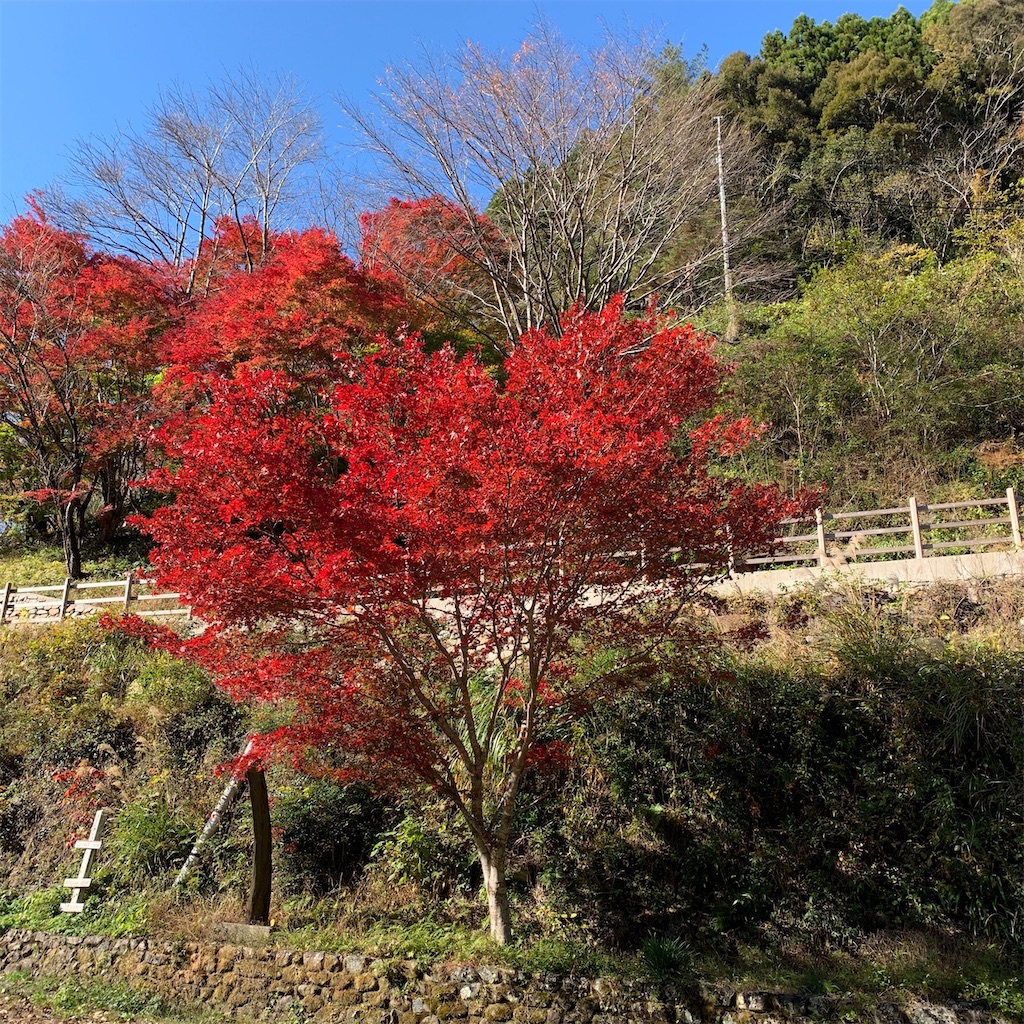 f:id:keikostyle:20210515222849j:image