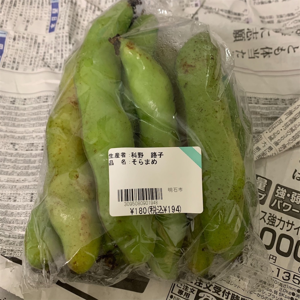 f:id:keikostyle:20210526192926j:image
