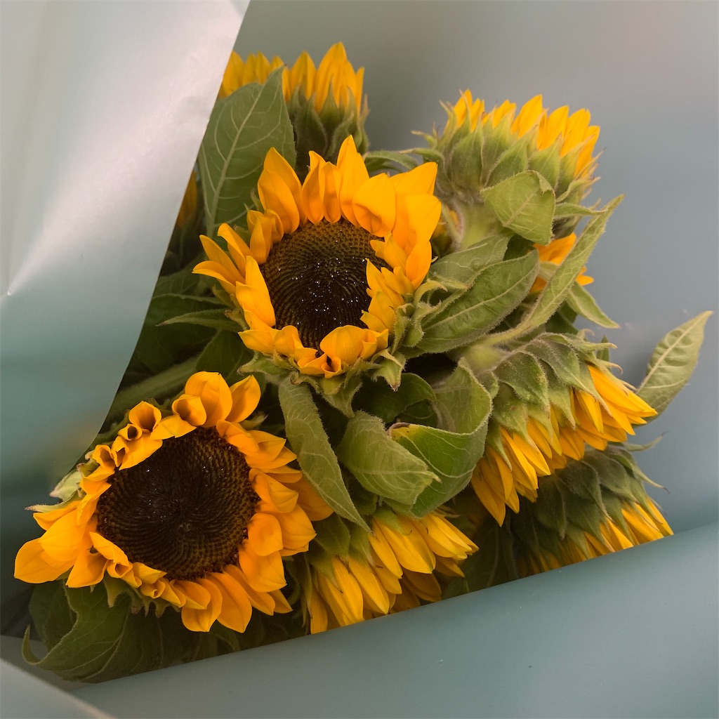f:id:keikostyle:20210605194500j:image f:id:keikostyle:20210605194500j:image