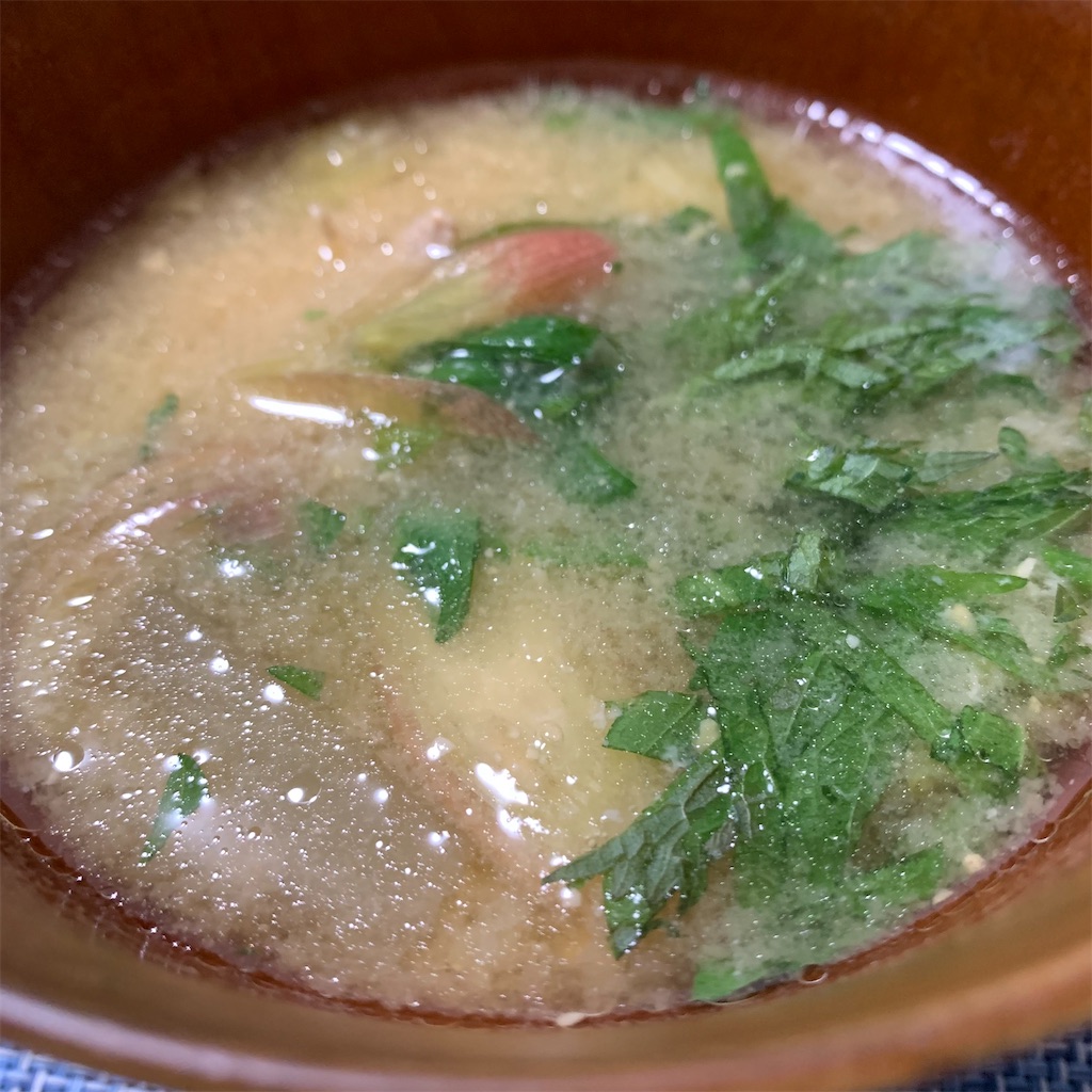f:id:keikostyle:20210610134445j:image