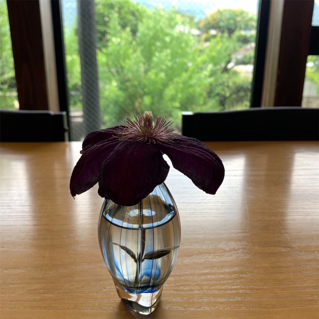 f:id:keikostyle:20210611173141j:image