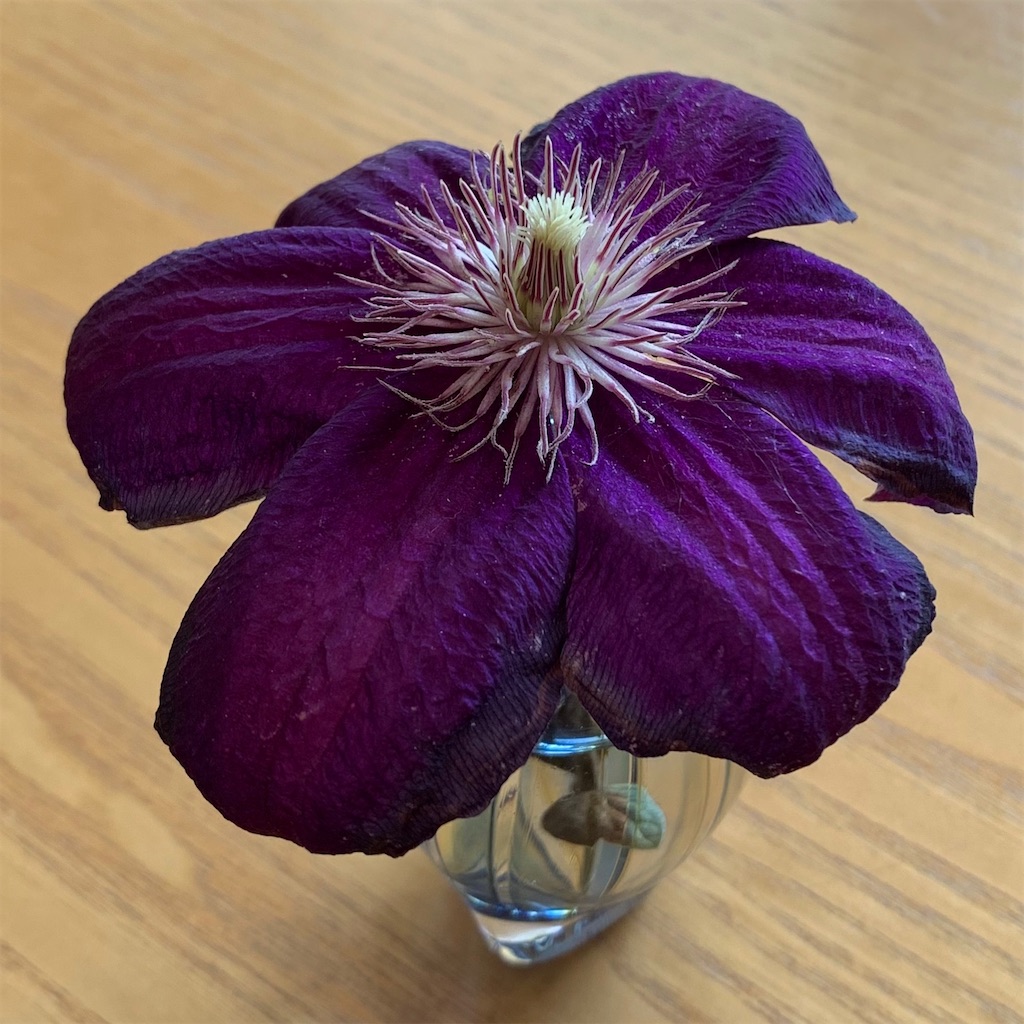 f:id:keikostyle:20210611173200j:image