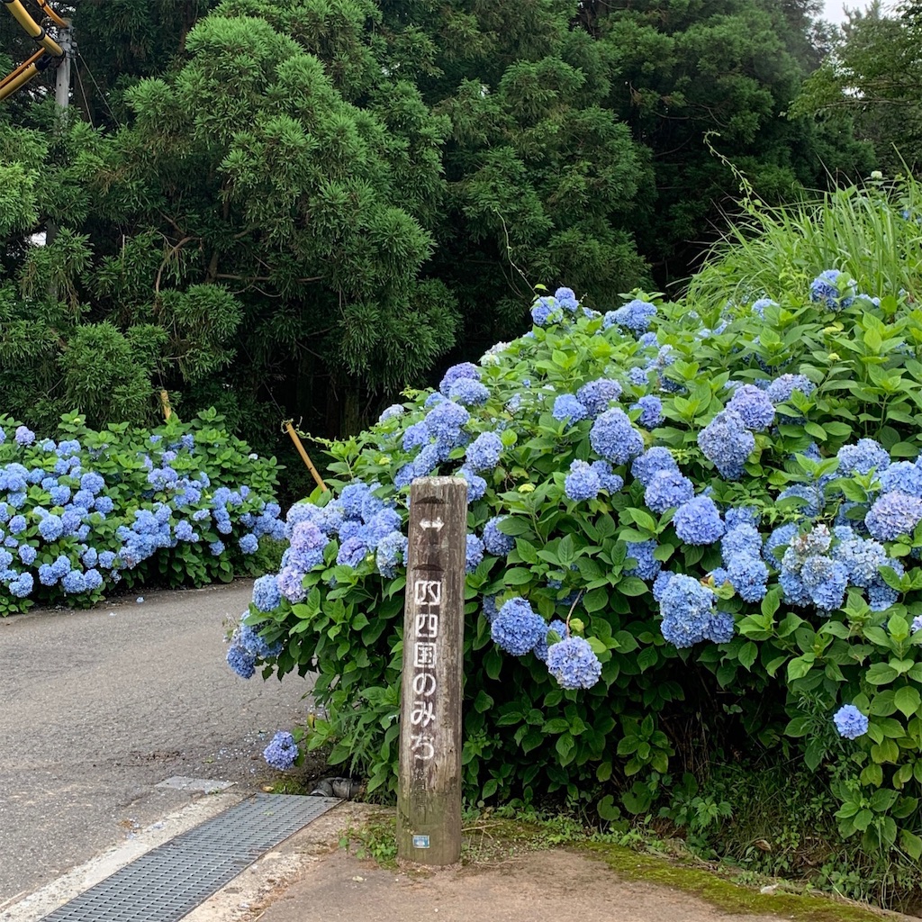 f:id:keikostyle:20210612132938j:image
