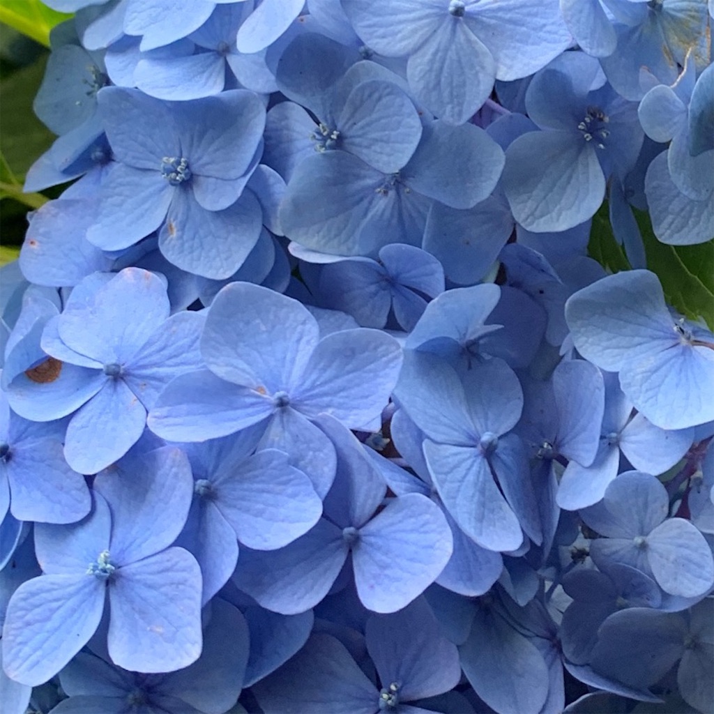 f:id:keikostyle:20210612133008j:image