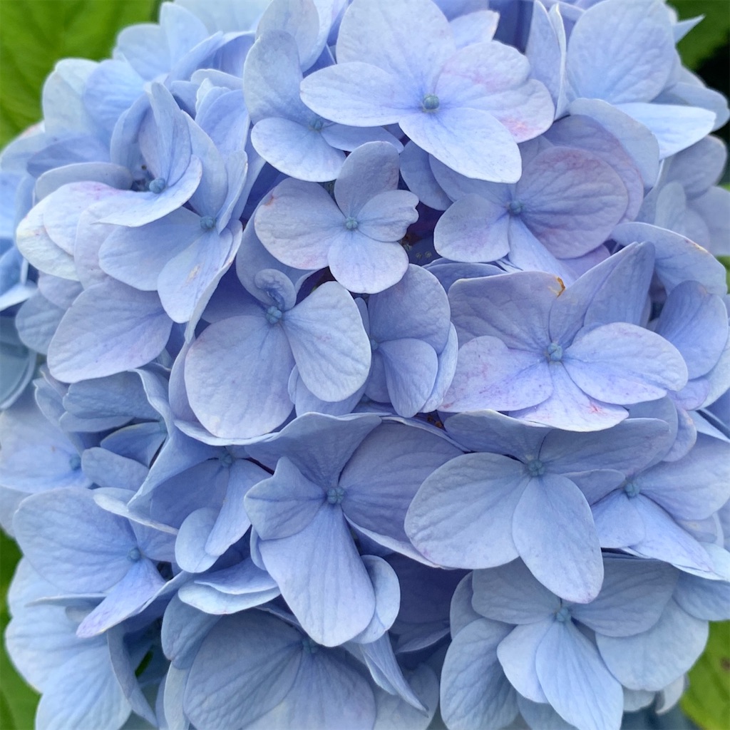 f:id:keikostyle:20210612133015j:image