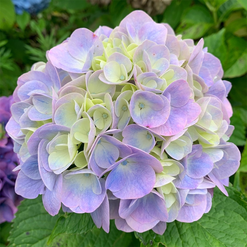 f:id:keikostyle:20210612133037j:image