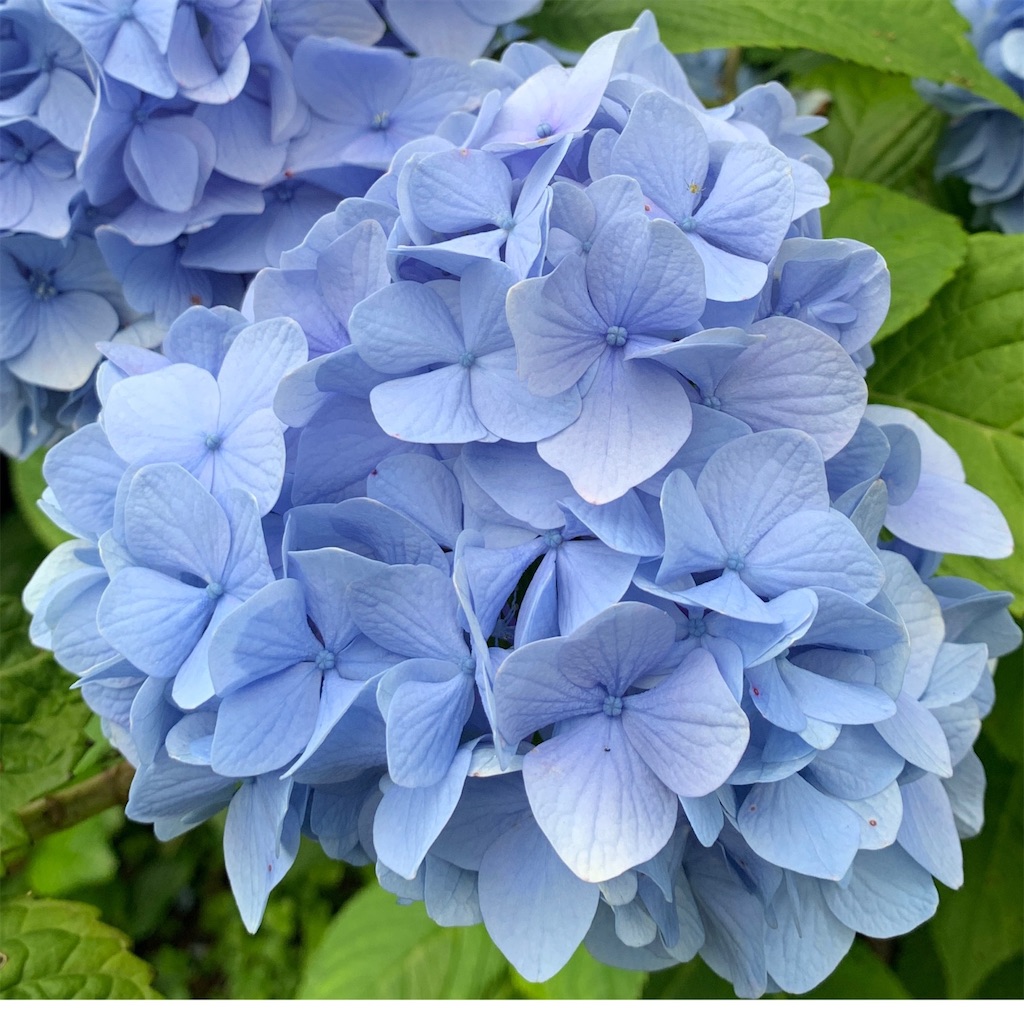 f:id:keikostyle:20210612133142j:image