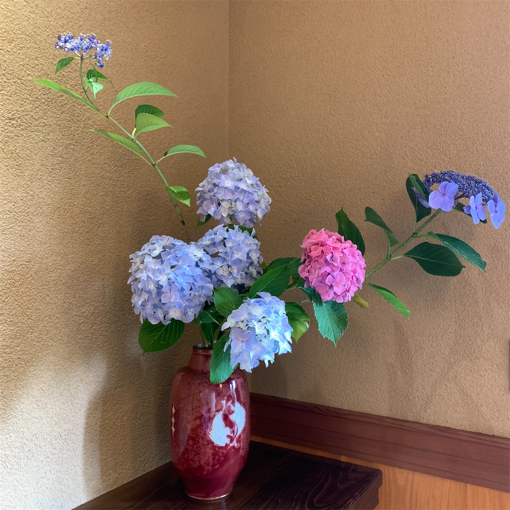 f:id:keikostyle:20210618132655j:image