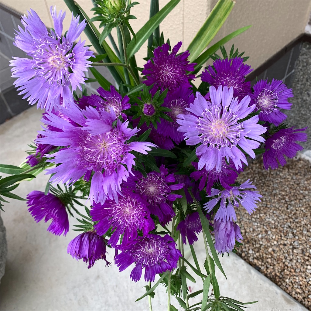 f:id:keikostyle:20210618132729j:image