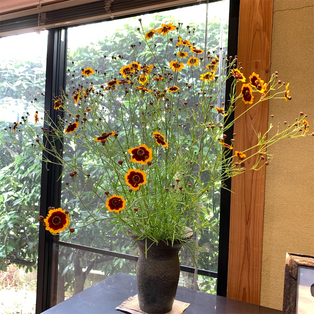 f:id:keikostyle:20210618132852j:image