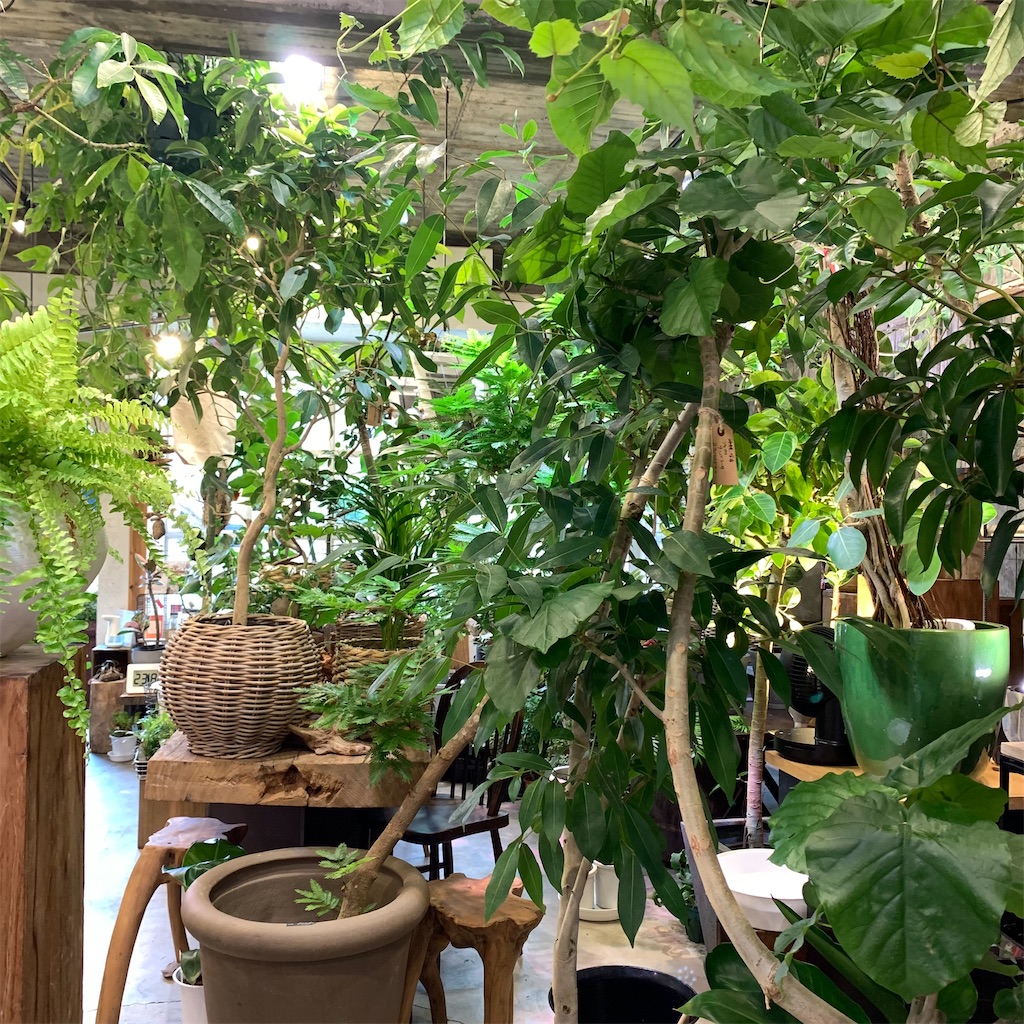 f:id:keikostyle:20210618160519j:image