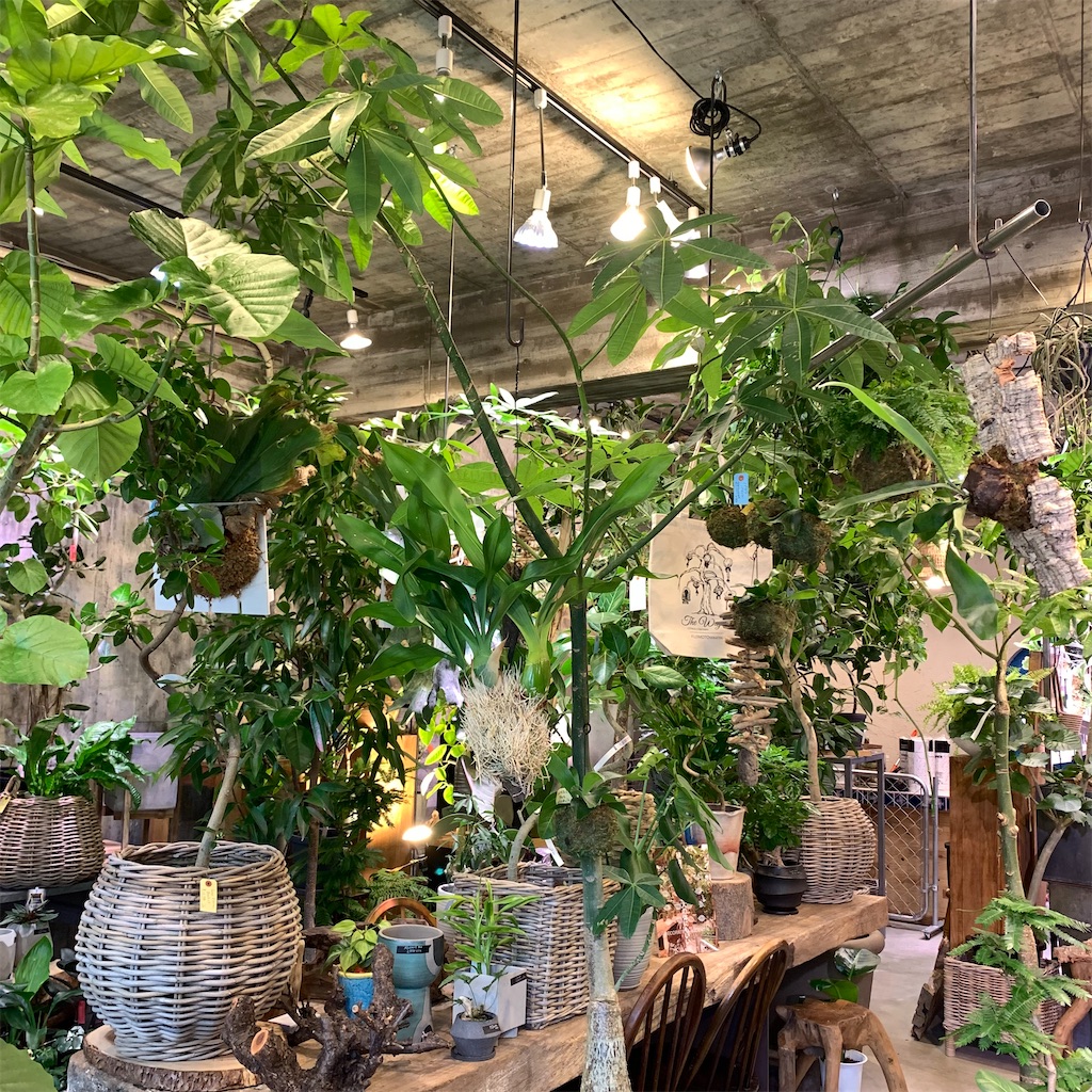 f:id:keikostyle:20210618160526j:image