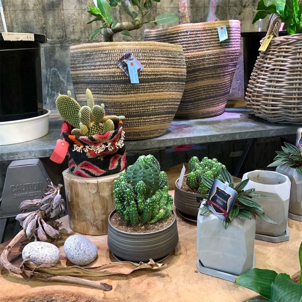 f:id:keikostyle:20210618160538j:image