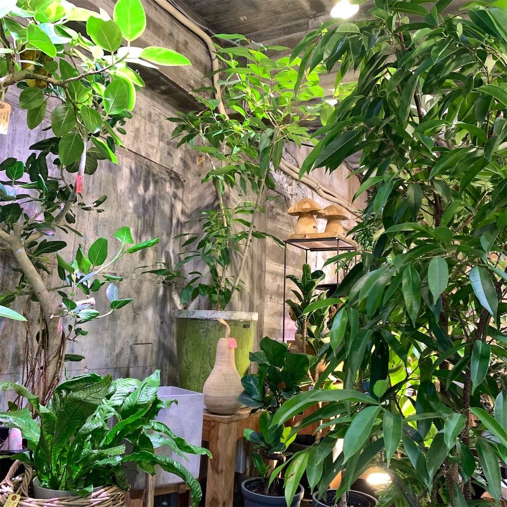 f:id:keikostyle:20210618160547j:image