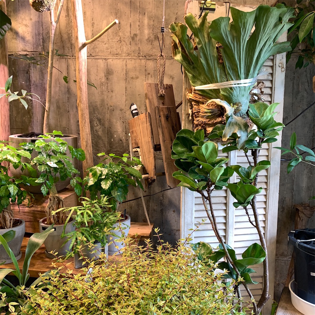 f:id:keikostyle:20210618160550j:image