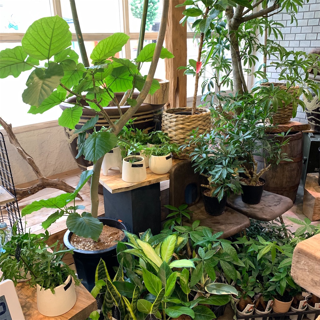 f:id:keikostyle:20210618160555j:image