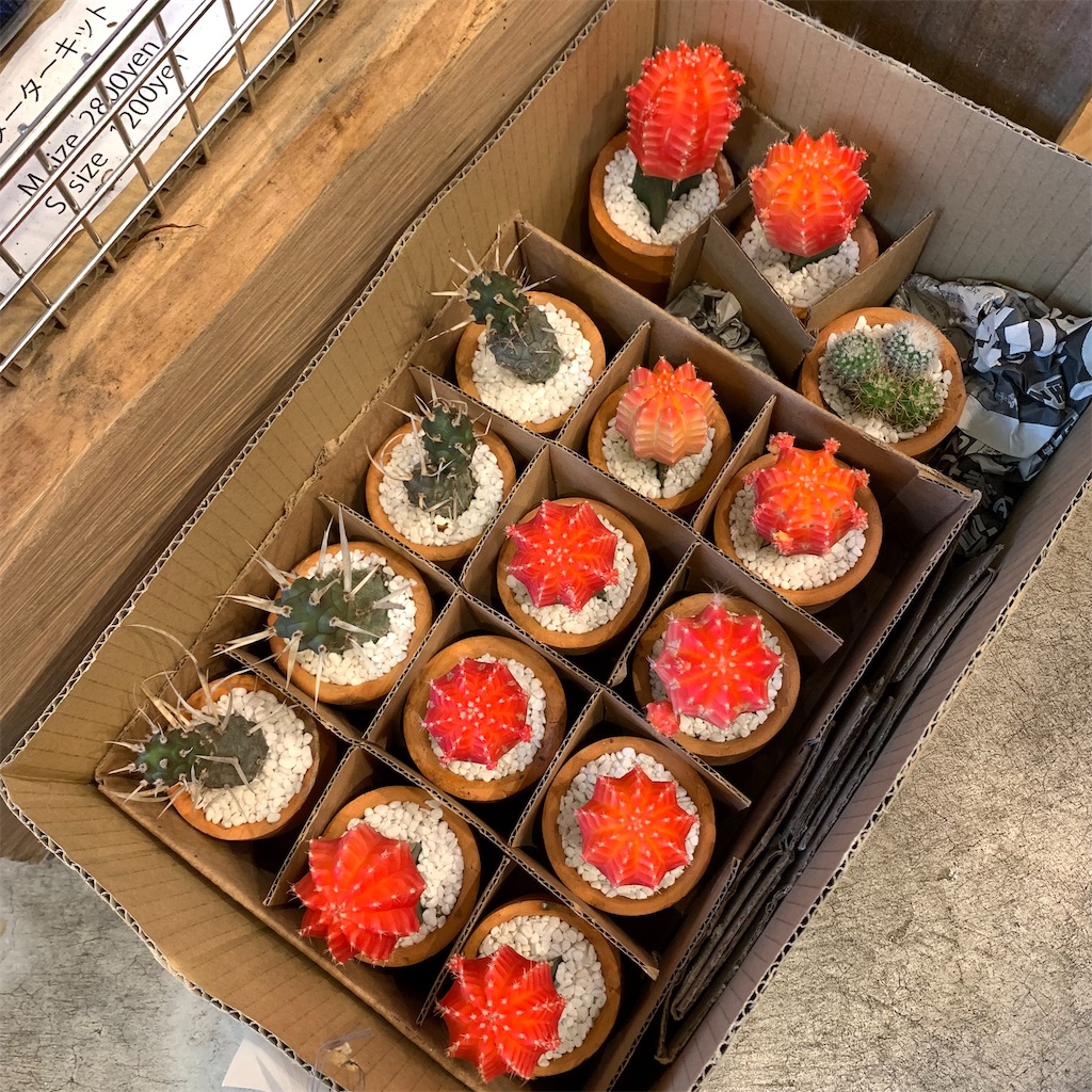 f:id:keikostyle:20210618160613j:image