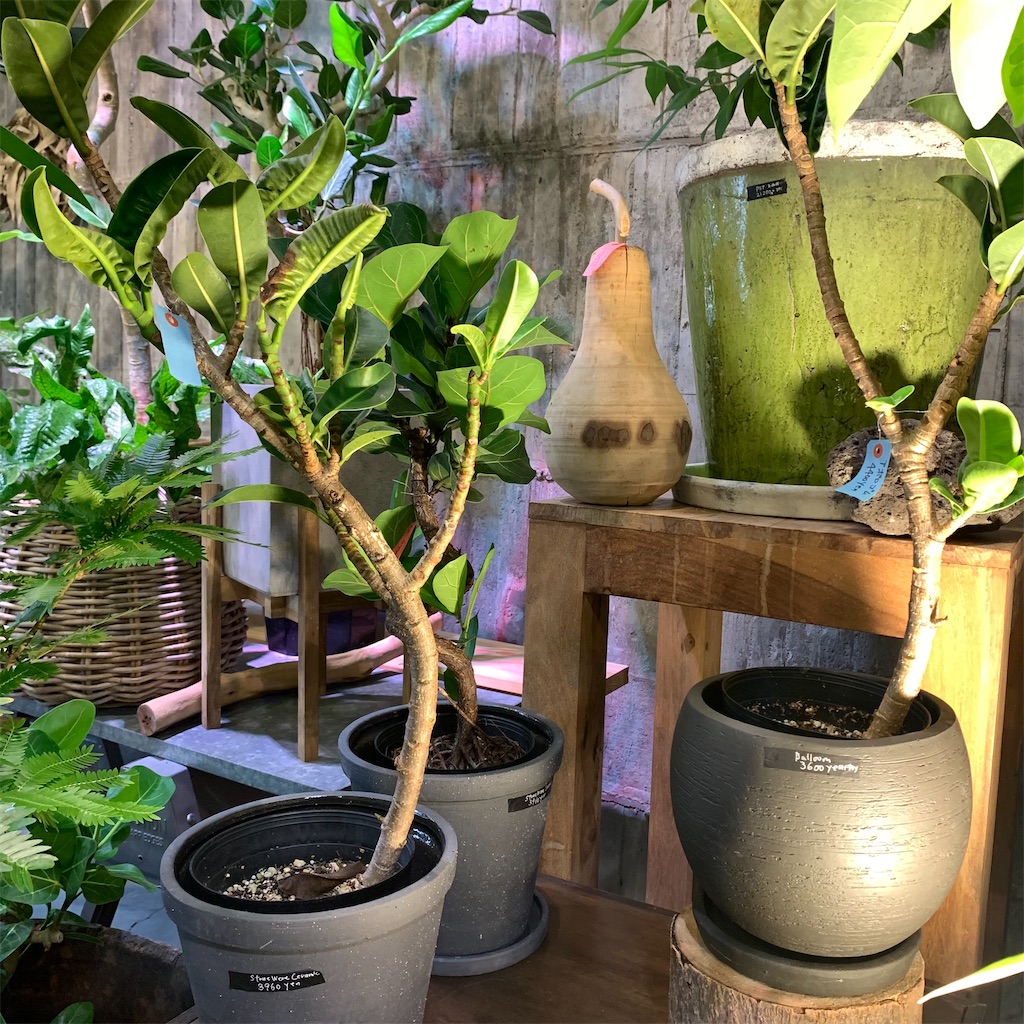 f:id:keikostyle:20210618160616j:image