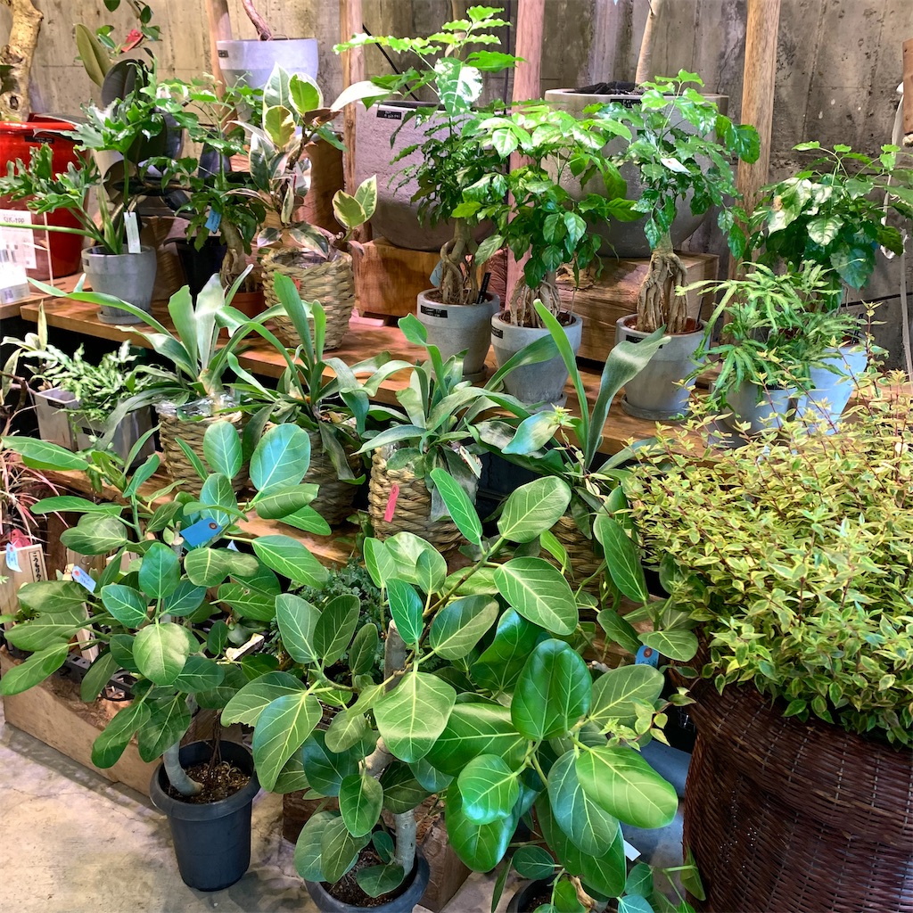 f:id:keikostyle:20210618160621j:image