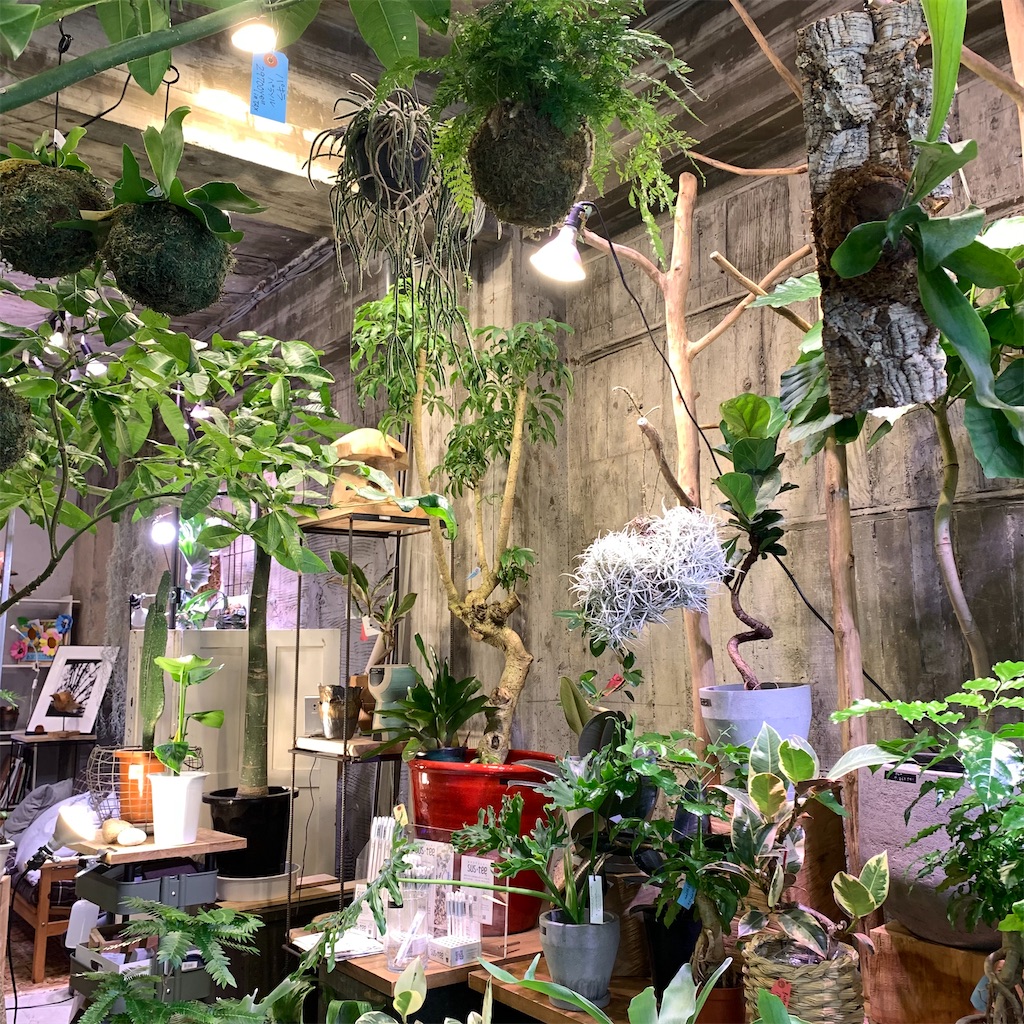 f:id:keikostyle:20210618160637j:image