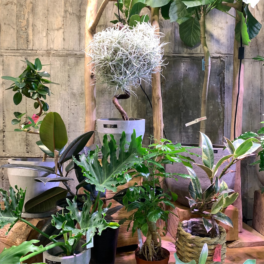 f:id:keikostyle:20210618160646j:image