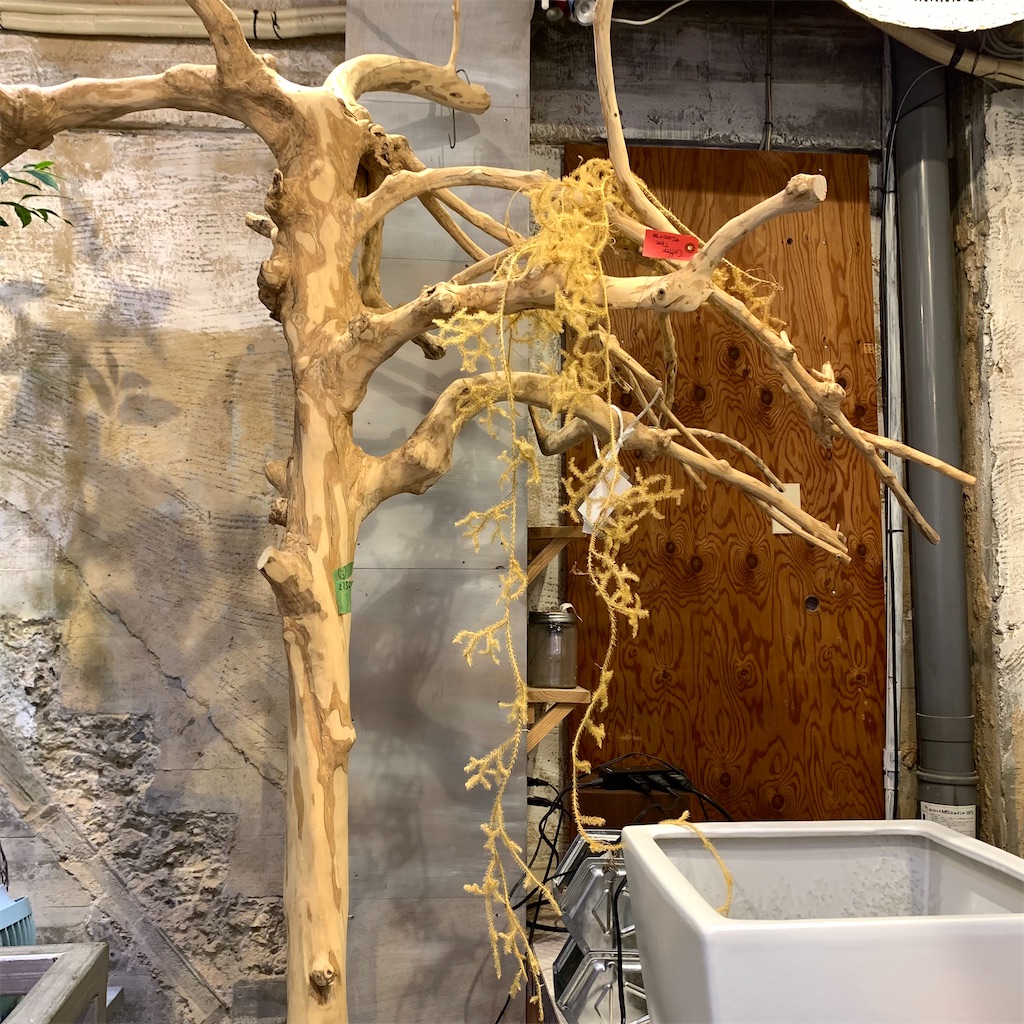 f:id:keikostyle:20210618160657j:image