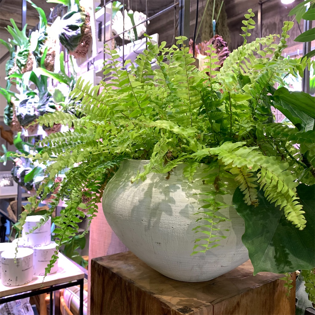 f:id:keikostyle:20210618160701j:image