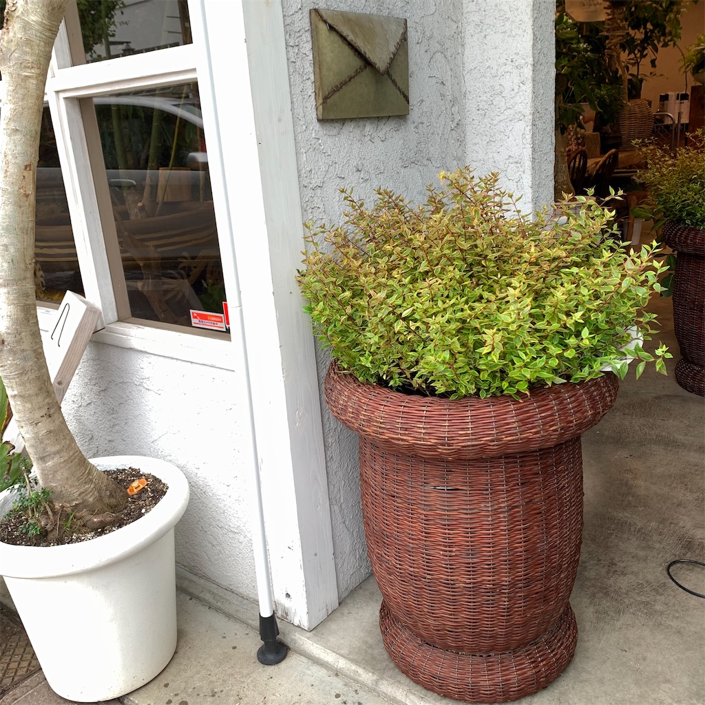 f:id:keikostyle:20210618160713j:image