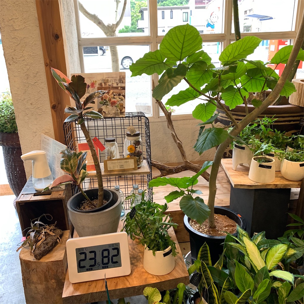 f:id:keikostyle:20210618160717j:image