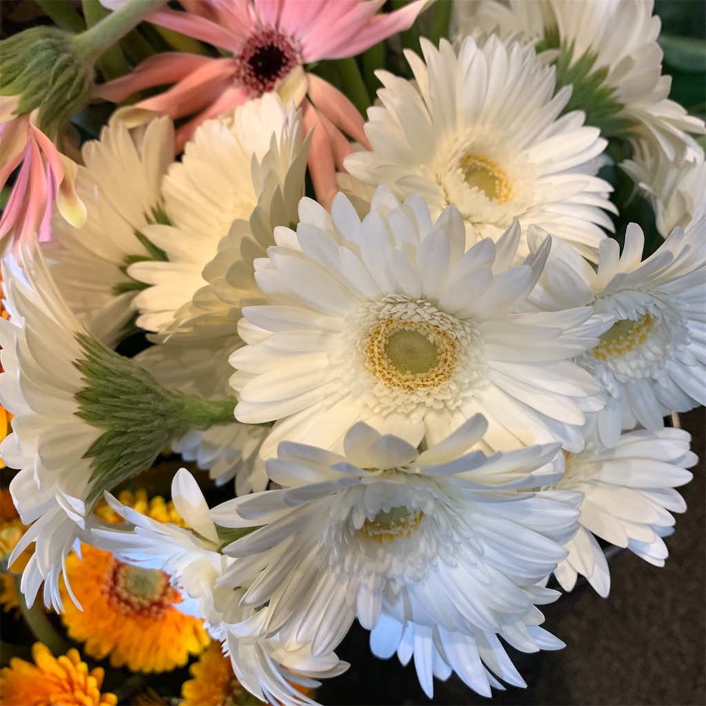 f:id:keikostyle:20210618160835j:image