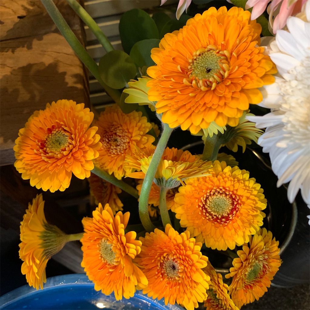 f:id:keikostyle:20210618160840j:image