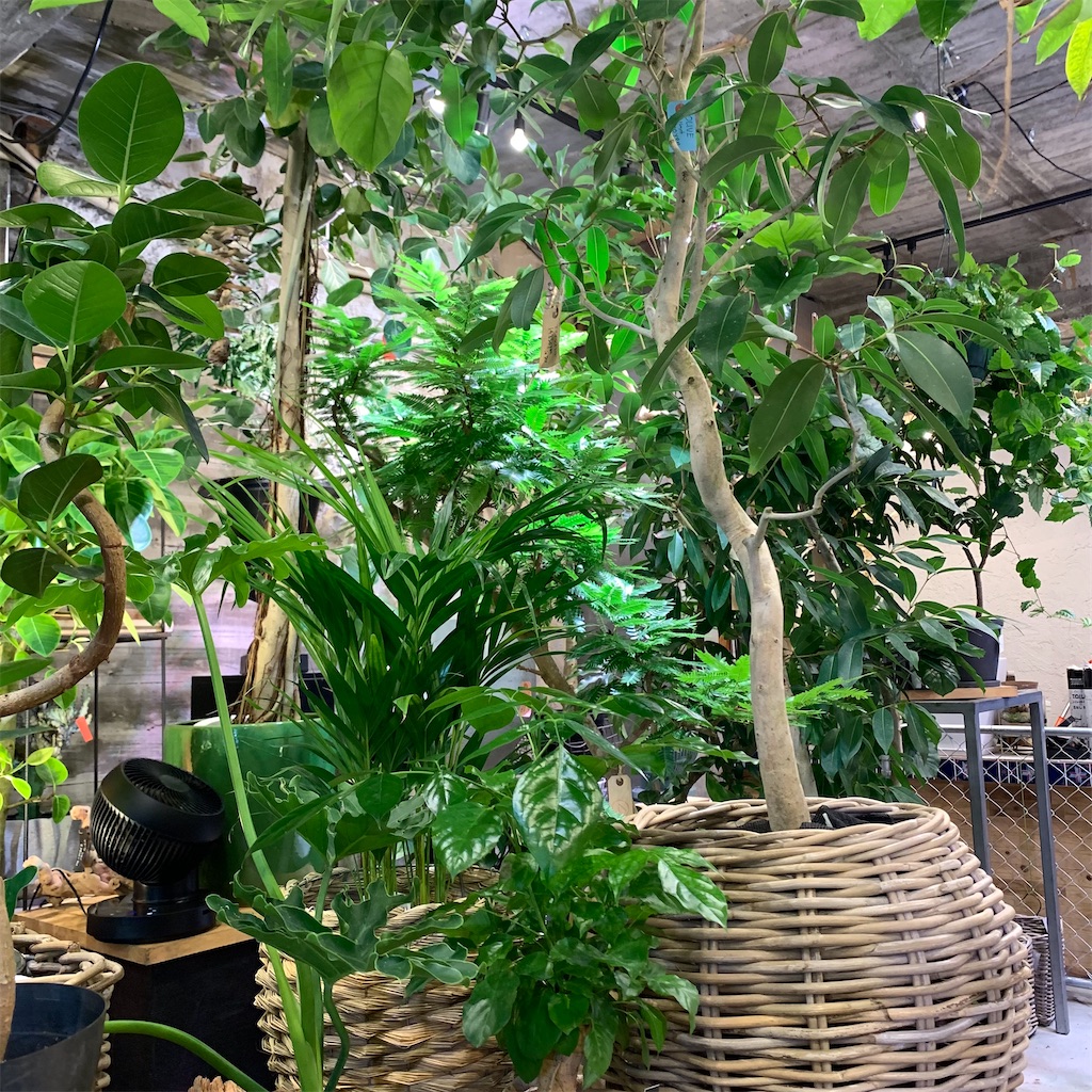 f:id:keikostyle:20210618160850j:image