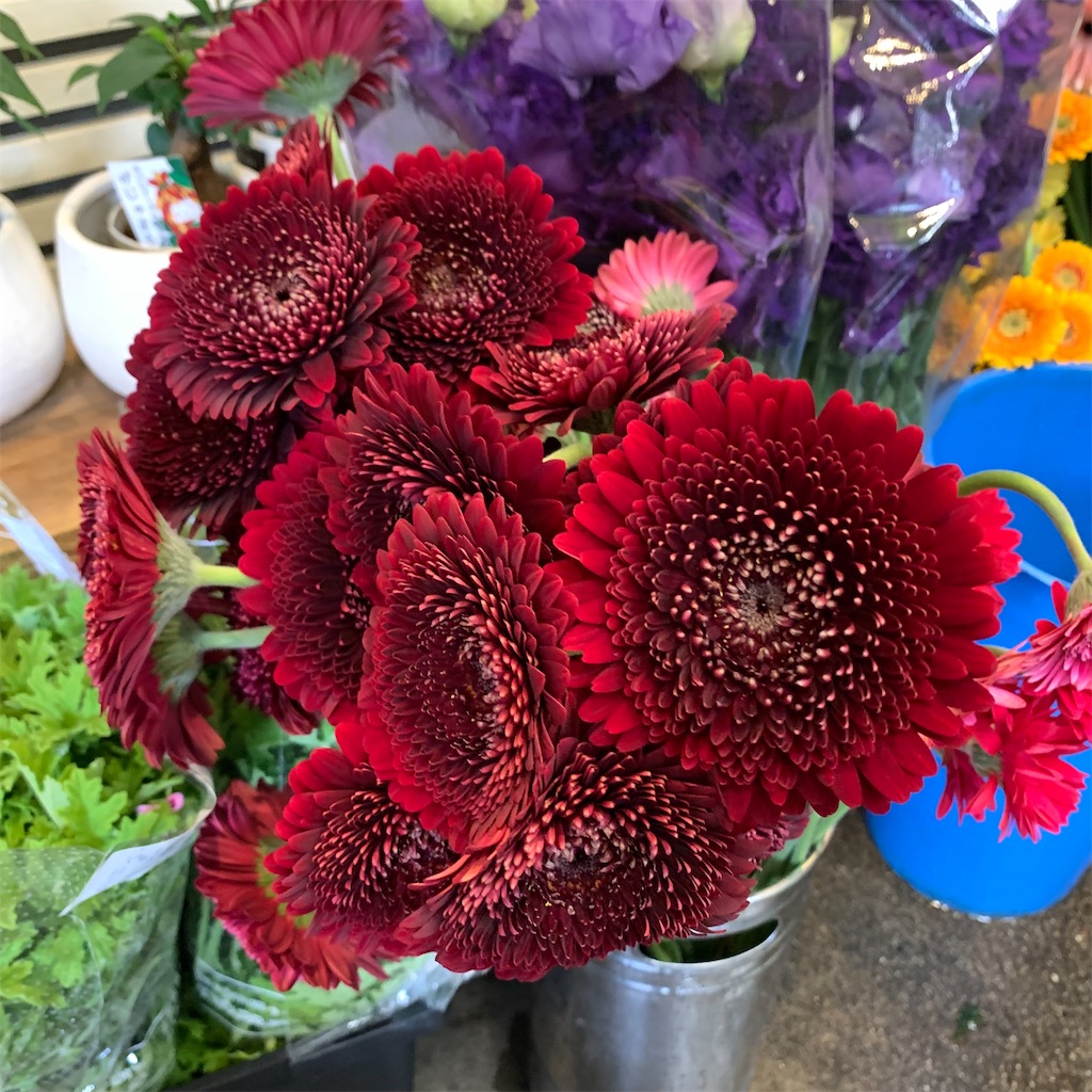 f:id:keikostyle:20210618160854j:image