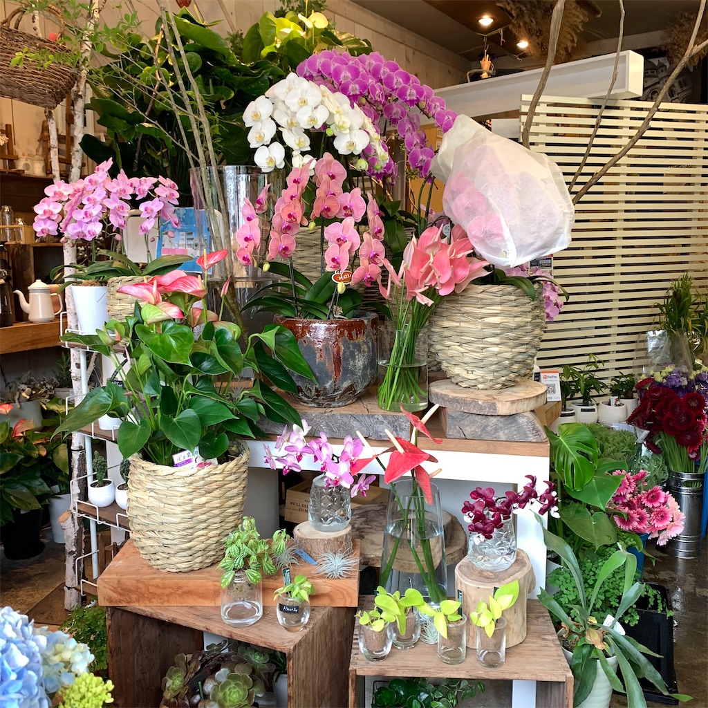 f:id:keikostyle:20210618160900j:image