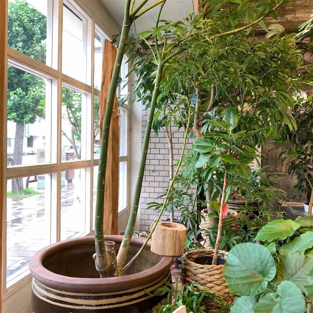 f:id:keikostyle:20210618160904j:image