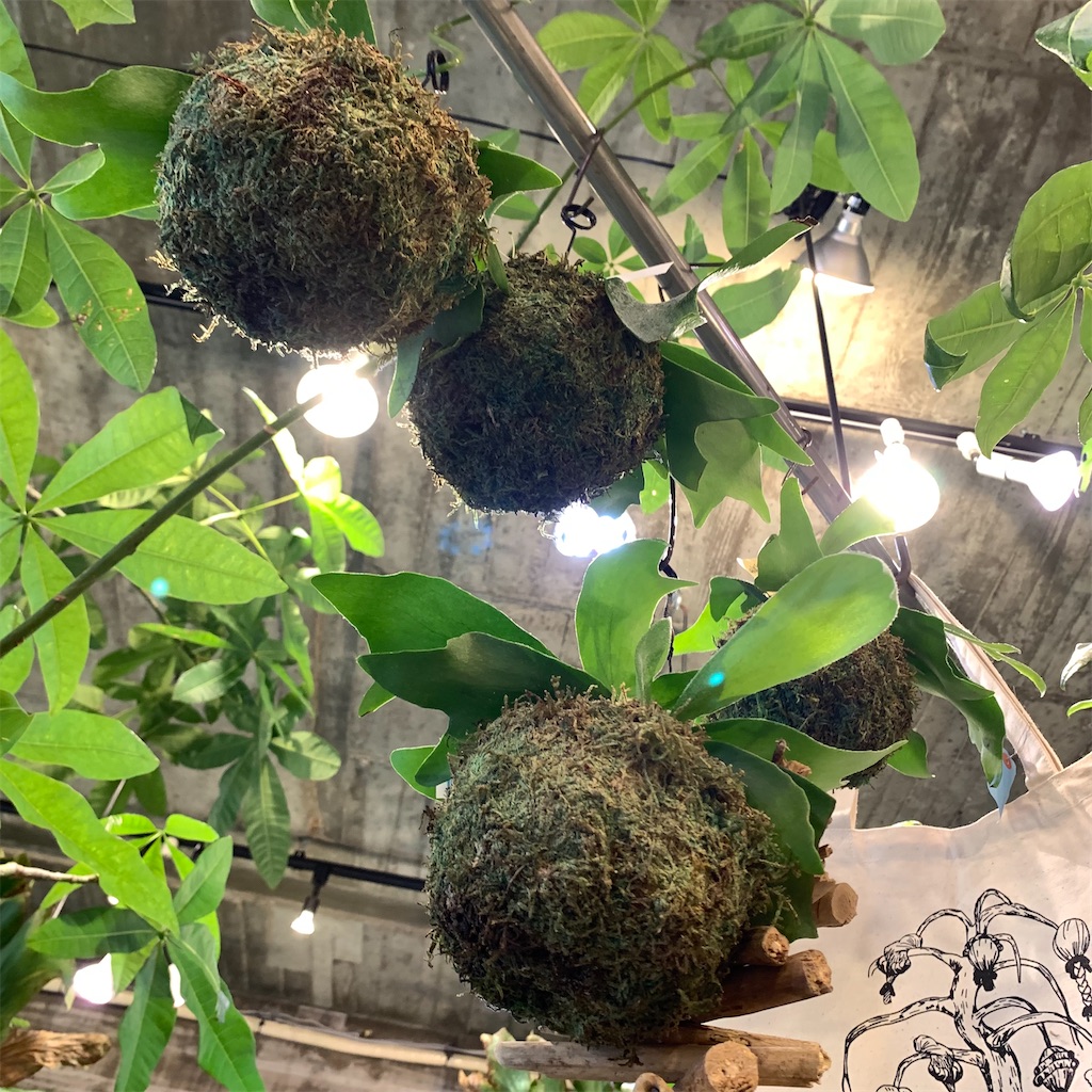 f:id:keikostyle:20210618160919j:image