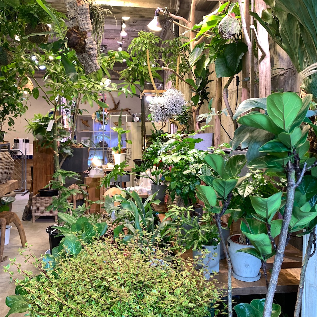 f:id:keikostyle:20210618160928j:image