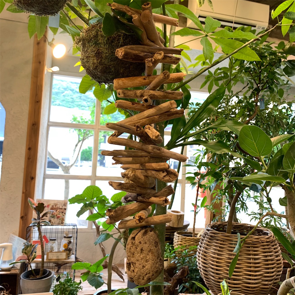 f:id:keikostyle:20210618160932j:image