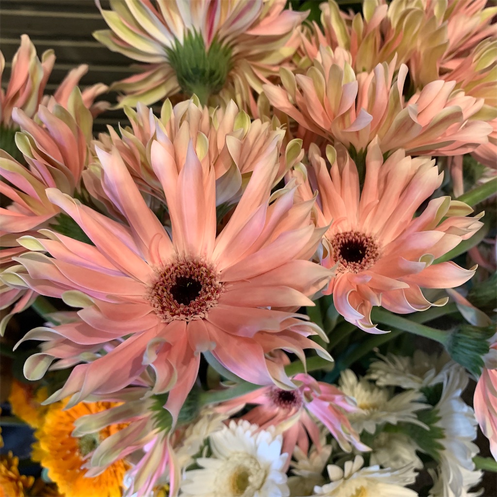 f:id:keikostyle:20210618160939j:image