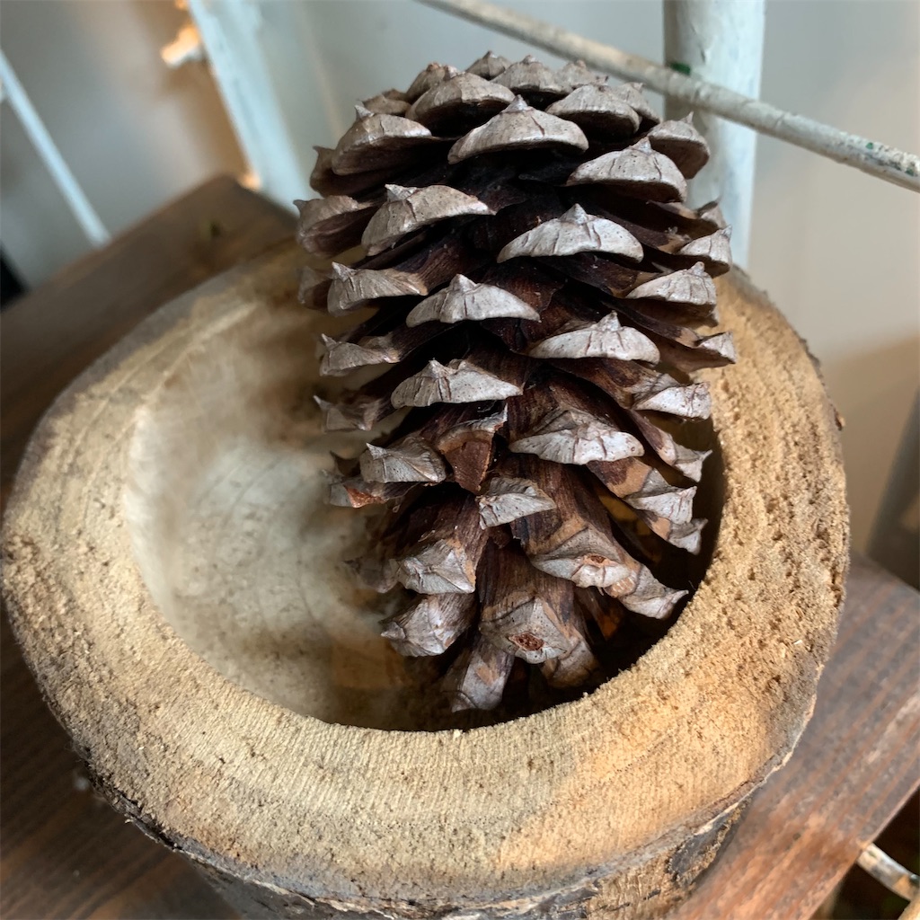 f:id:keikostyle:20210618160953j:image