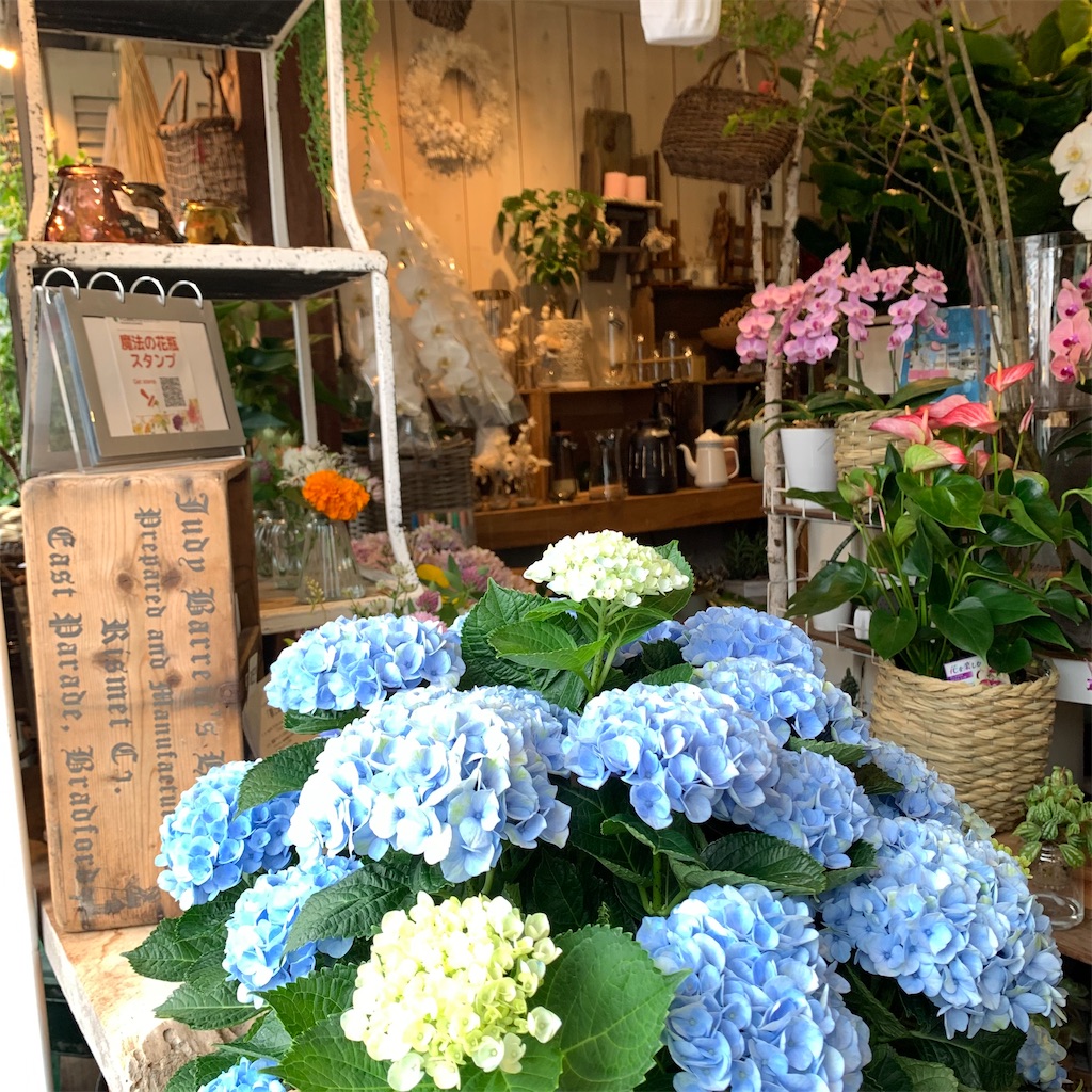 f:id:keikostyle:20210618160957j:image