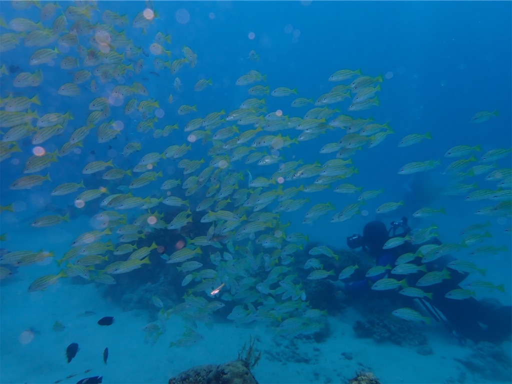 f:id:keikostyle:20210628145207j:image