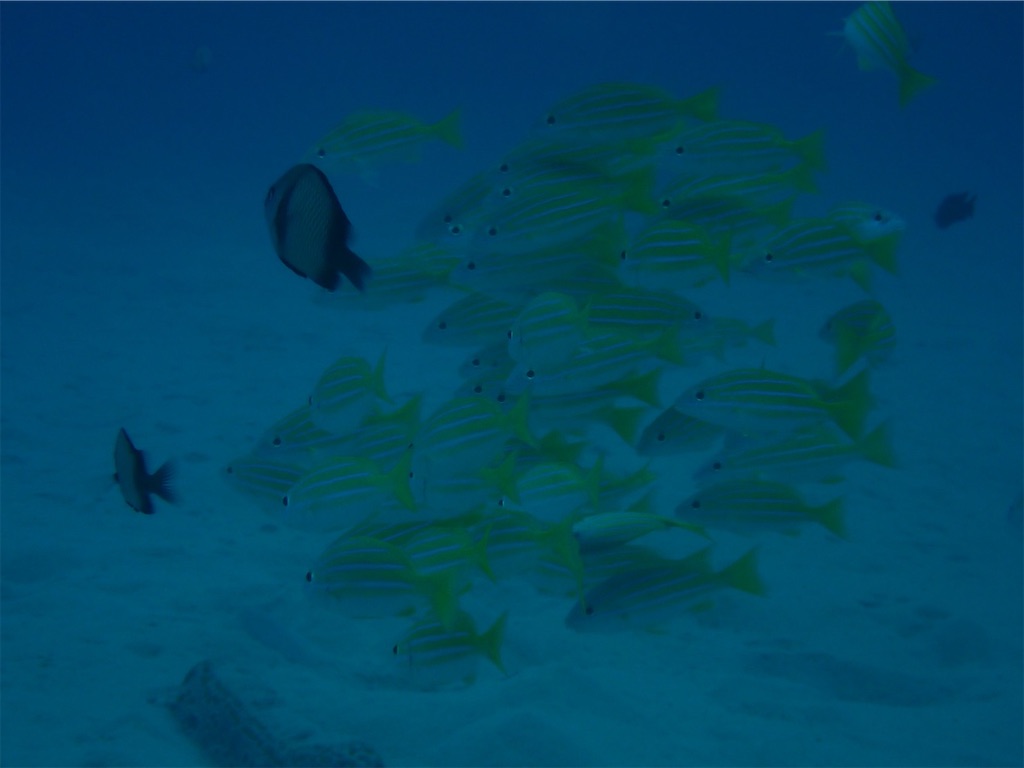 f:id:keikostyle:20210628145214j:image