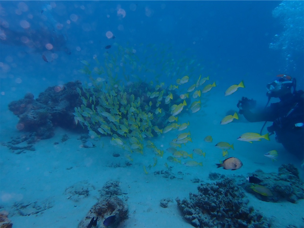 f:id:keikostyle:20210628145225j:image