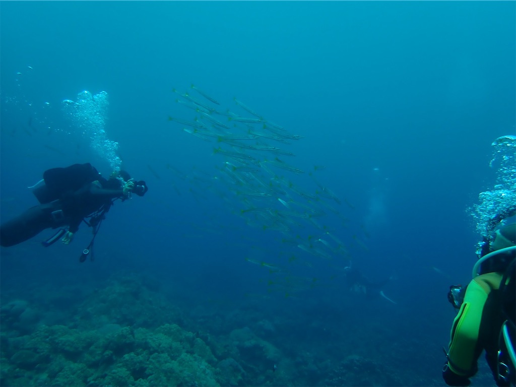 f:id:keikostyle:20210628145309j:image