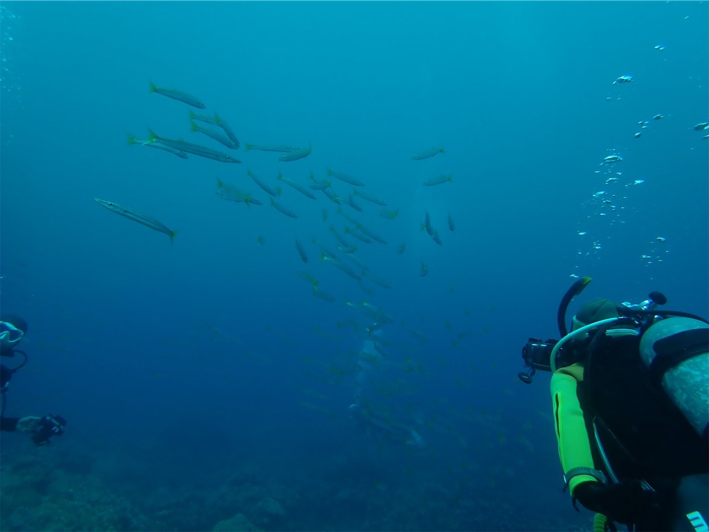 f:id:keikostyle:20210628145313j:image